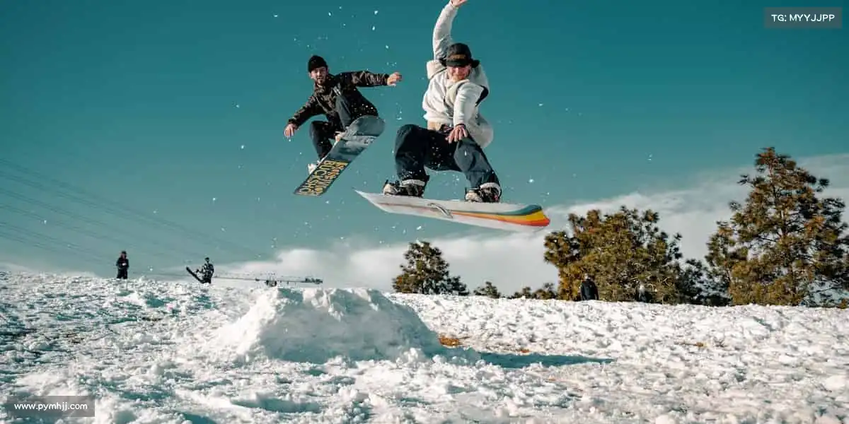 行业领先的理由